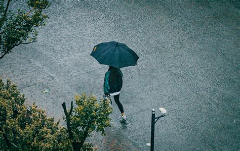 下雨的人|[下雨的人]